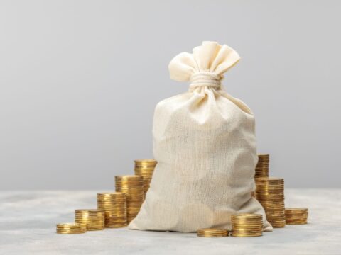 NWO-subsidies voor algoritme-ontwikkeling, betere qubits en zuinige hardware